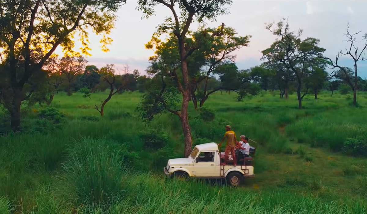 Bardiya Jungle Safari